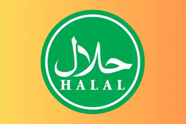 Visite nosso site e leia o artigo – Tudo o que você precisa saber sobre produtos Halal: Guia completo para empresas e consumidores